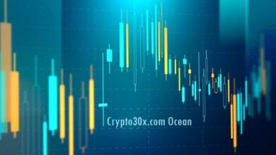 crypto30x.com ocean